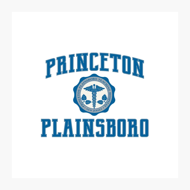 Princeton Plainsboro Teaching Hospital Logo Pin