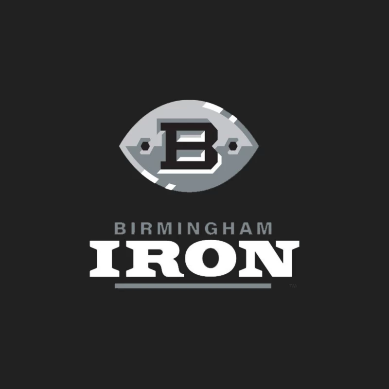 Birmingham Iron AAF Football Bucket Hat
