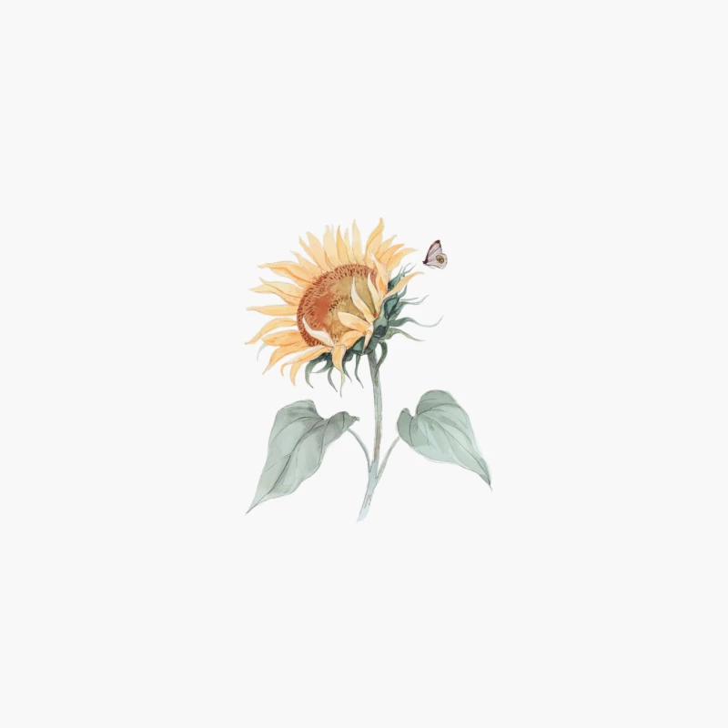 Delicate Watercolor Sunflower with Butterfly: A Botanical Nature Study Cotton Tote Bag