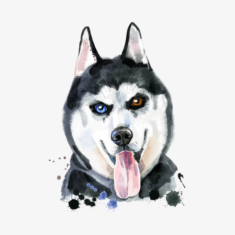 Portrait aquarelle de husky avec yeux hétérochromes Homme Manches Longues T-Shirt