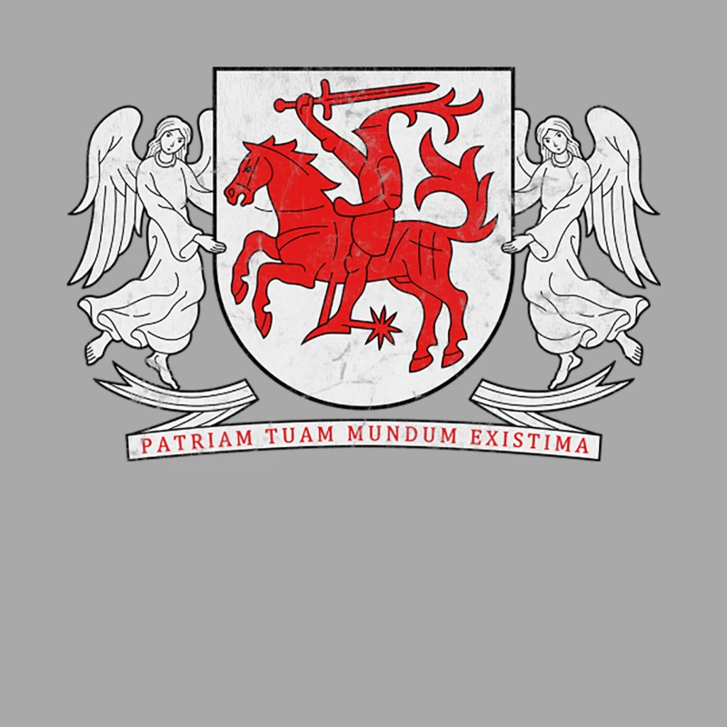 Aukštaitija, Lithuania - Vintage Distressed Style Male Pullover Hoodie