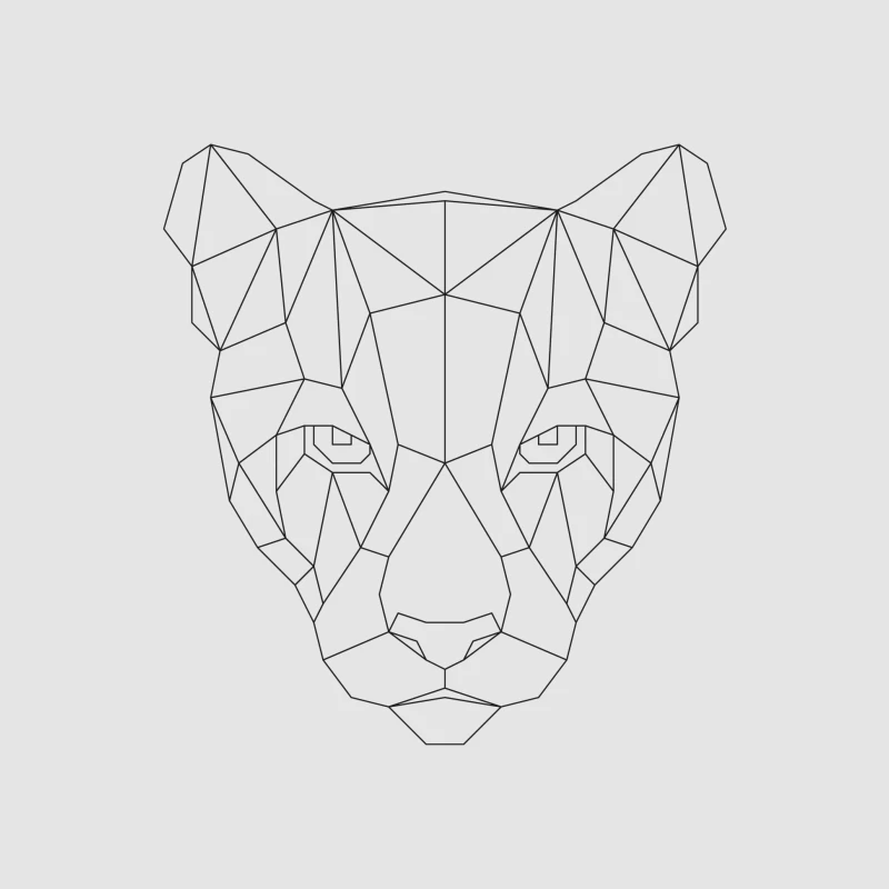 Visage de Panthère Géométrique Homme Sweat à capuche