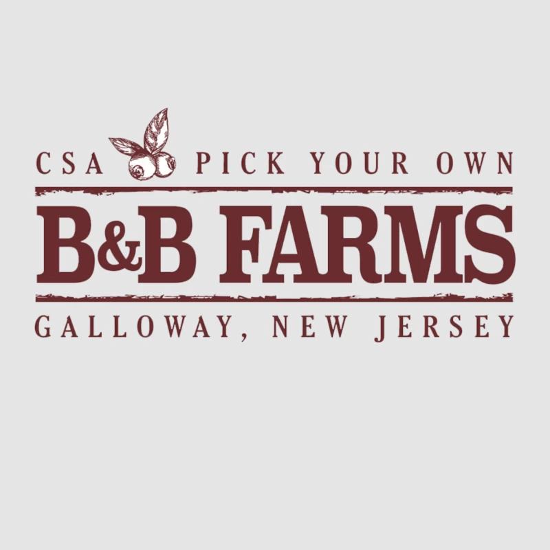 B&B Farms Logo Male Pullover Hoodie