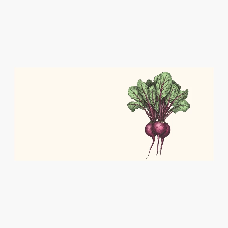 Botanical Illustration of Fresh Organic Beetroots Coffee Mug