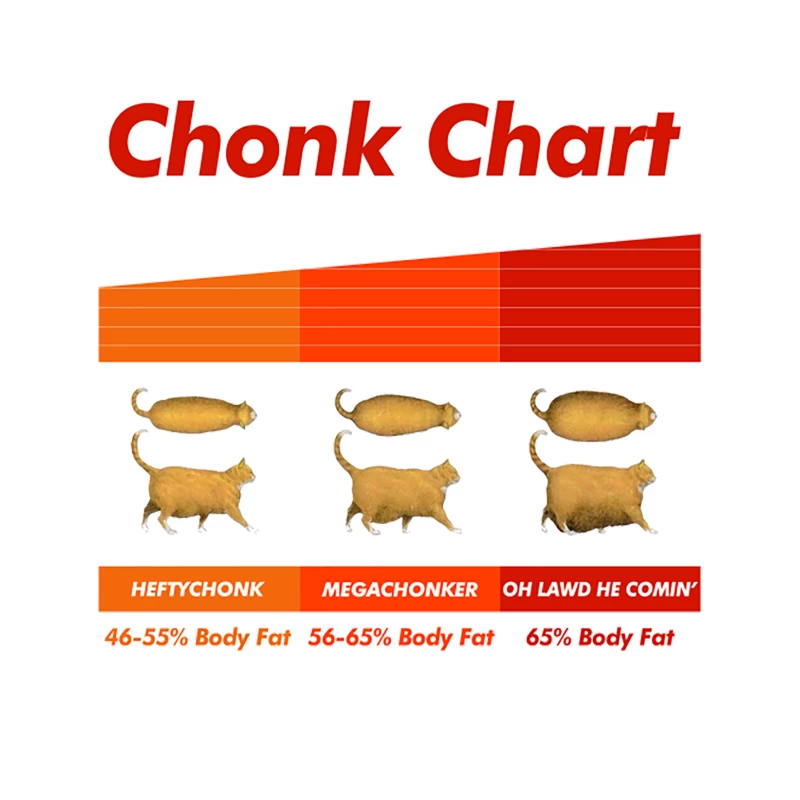 Fat Cat Meme Chonk Chart  Funny Pet Lover Gift Tapestry