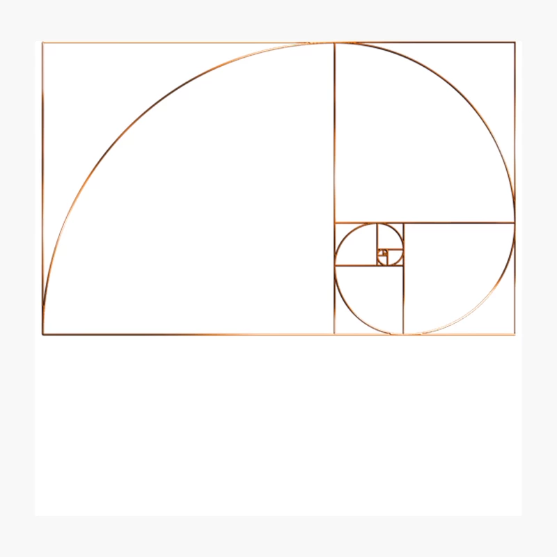 Fibonacci Spiral  Golden Ratio Throw Pillow