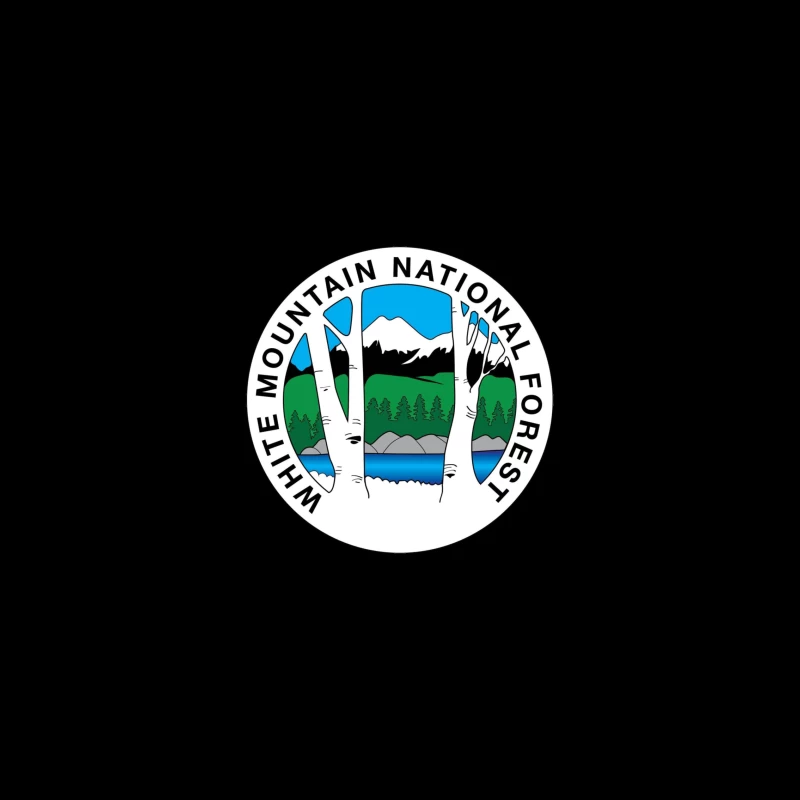 White Mountain National Forest iPhone Case