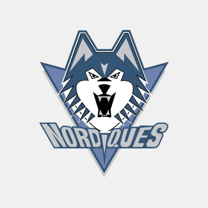 Quebec Nordiques Male Tank Top