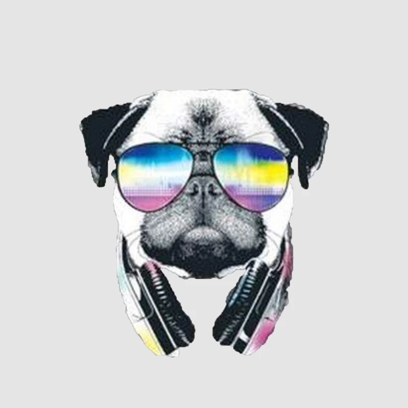 Chien DJ avec lunettes hautes en couleurs Homme Sweat à capuche
