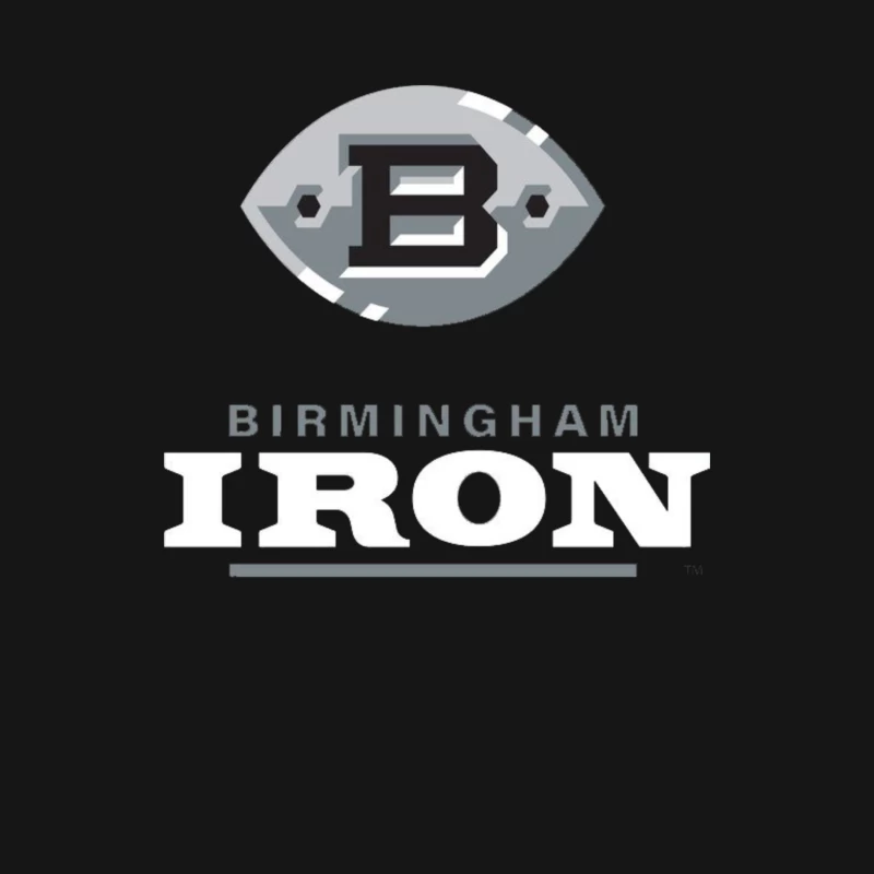 Birmingham Iron AAF Football Male Long Sleeve T-Shirt
