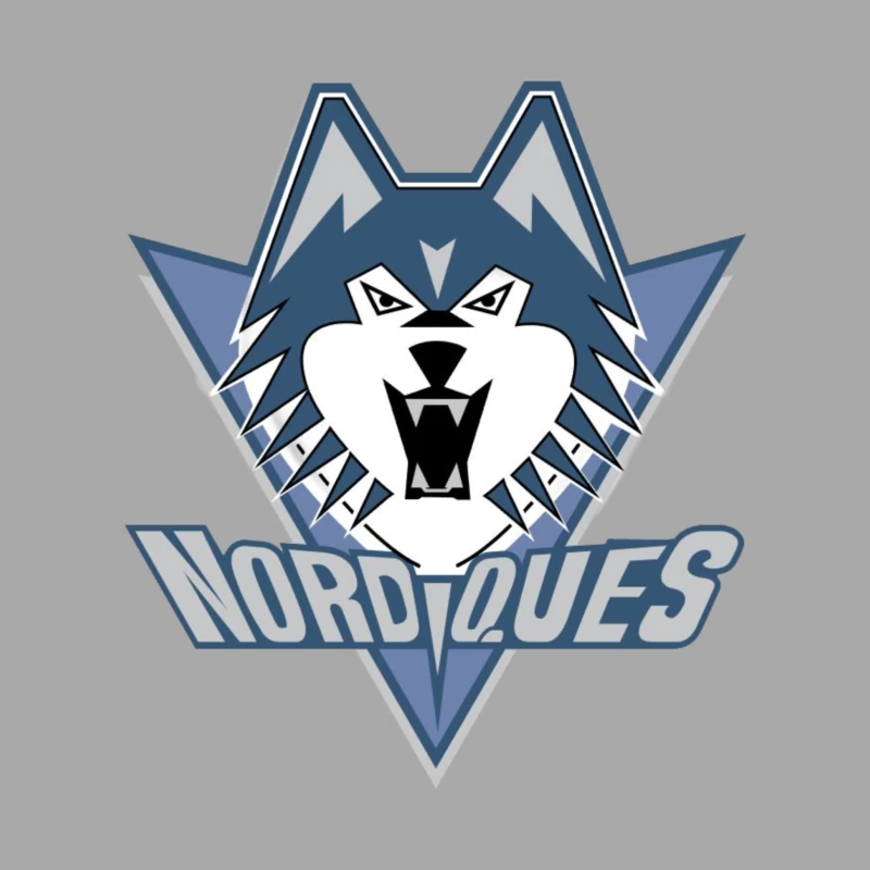 Quebec Nordiques Female Pullover Hoodie