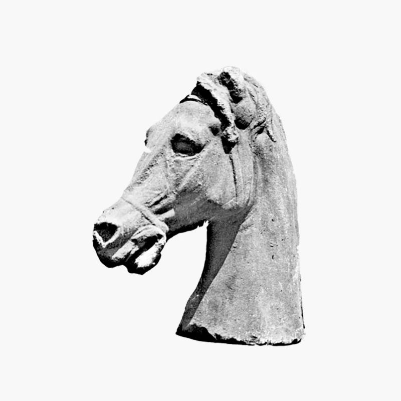 Aesthetic  Greek Horse Statue Design Cotton Tote Bag