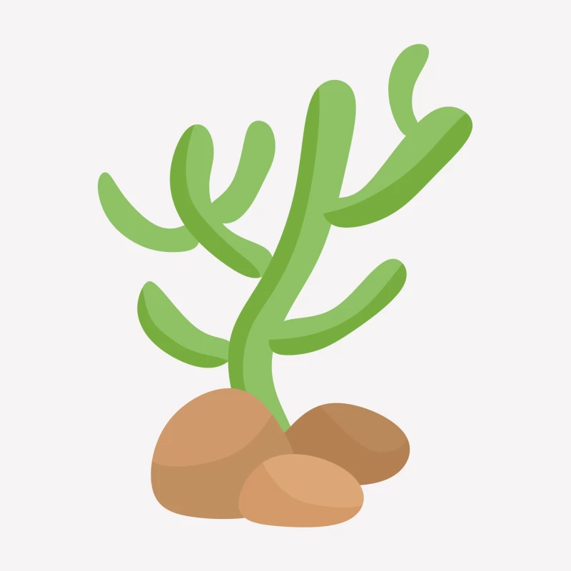Illustration de cactus sur des rochers Femme T-Shirt