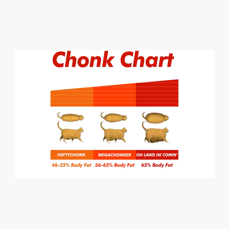 Fat Cat Meme Chonk Chart  Funny Pet Lover Gift Travel Mug