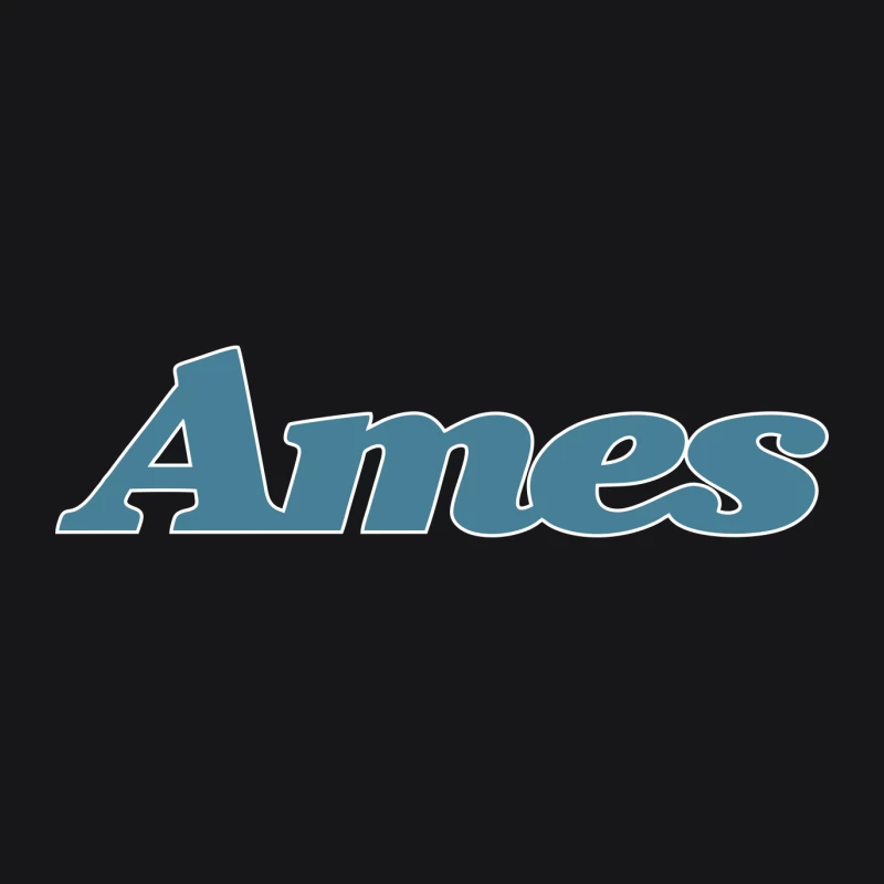 Ames Department Stores Male Pullover Hoodie