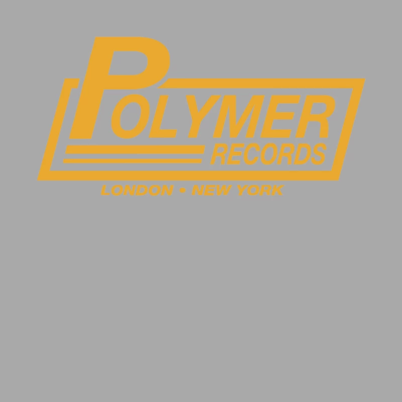 Polymer Records, Ideal Gift Or Birthday Present funny Female Pullover Hoodie