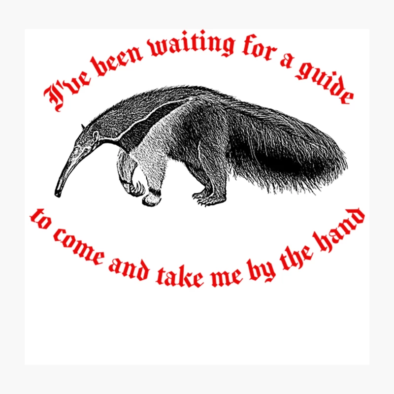 Disorder Nihilist Anteater Design Throw Pillow