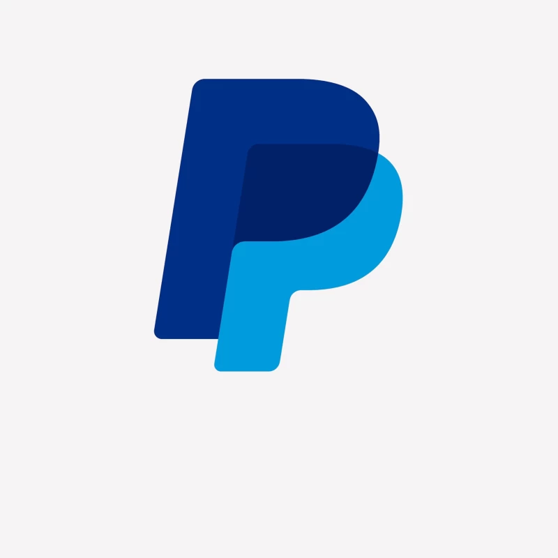 PayPal Double P Logo Design in Blue Shades Male T-Shirt