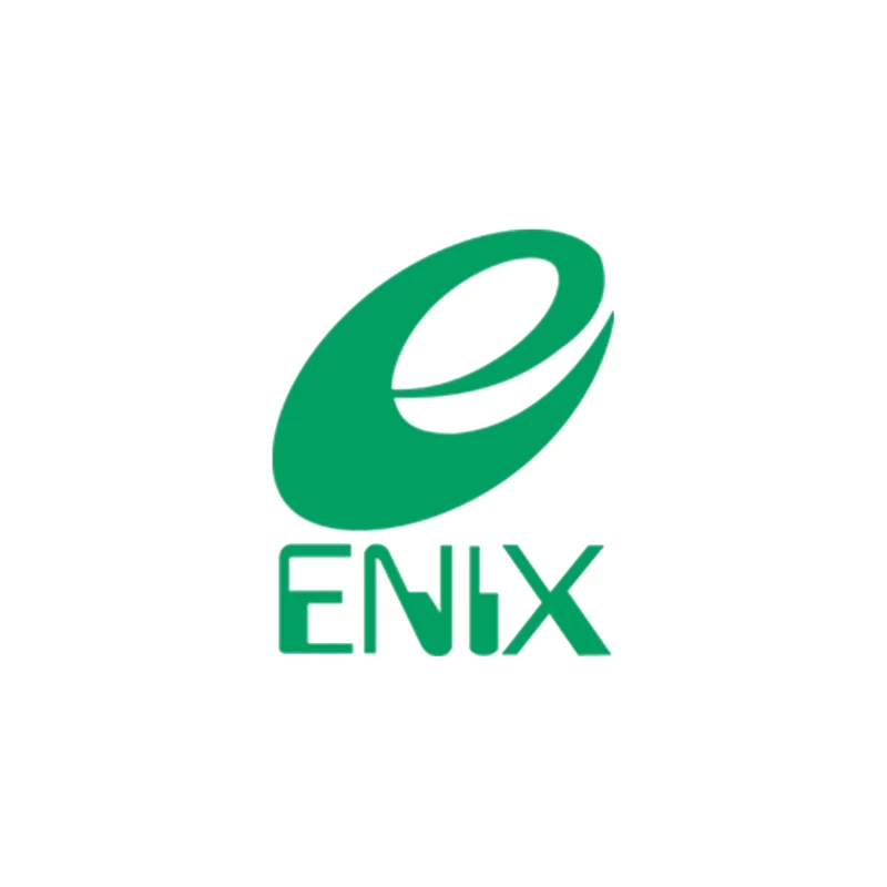 Green Stylized Enix Gaming Company Logo Tapestry