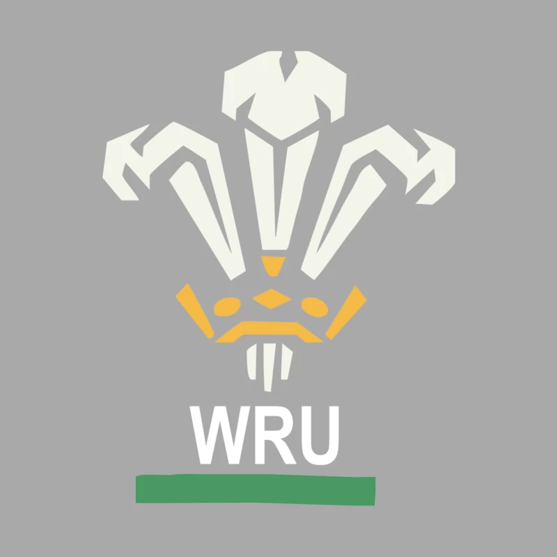 New Official Wru Welsh Rugby Printed Contrast Male Pullover Hoodie