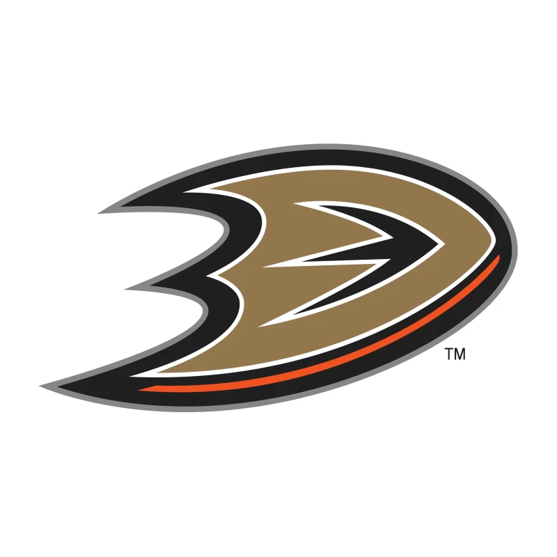 Anaheim Ducks NHL Team Logo Tapestry