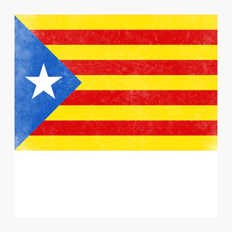 Catalonia  Països Catalans Estelada - Vintage Faded Look Design Pin