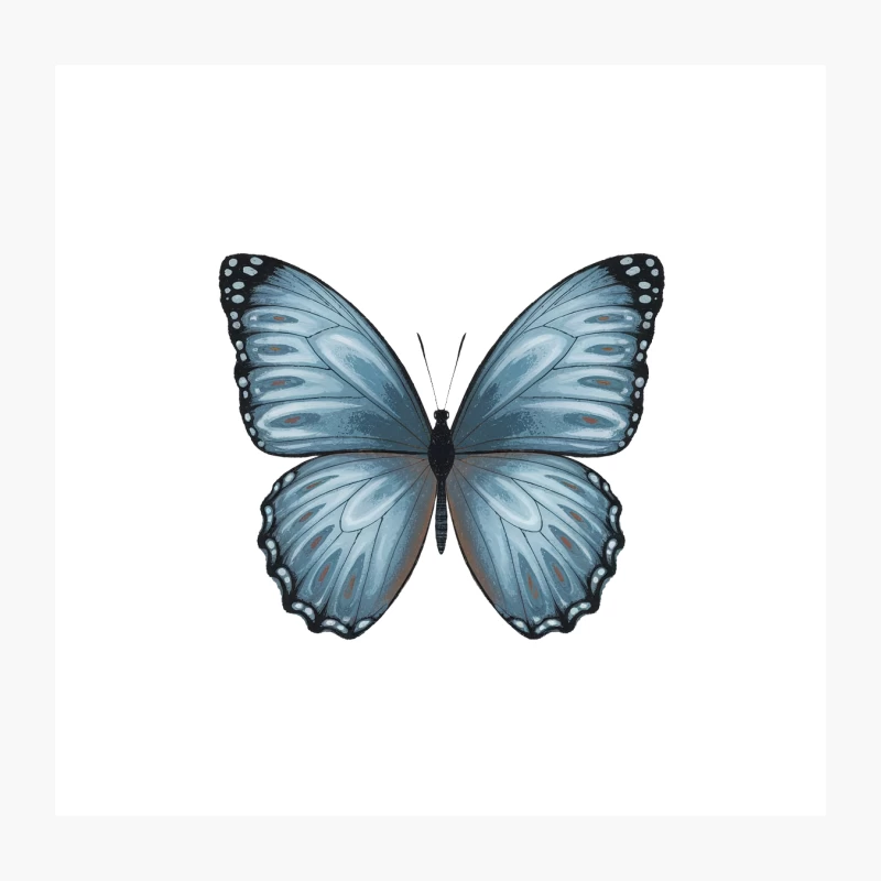 Beautiful Blue Butterfly with Delicate Wings Throw Pillow