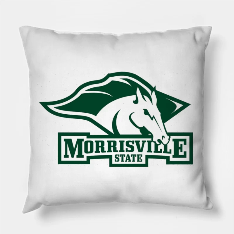  Throw Pillow