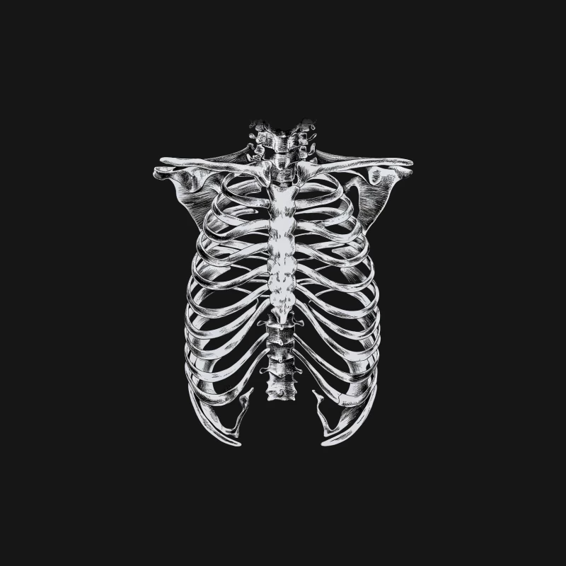skeleton ribcage anatomy medical illustration black and white human body bones ches Female Long Sleeve T-Shirt
