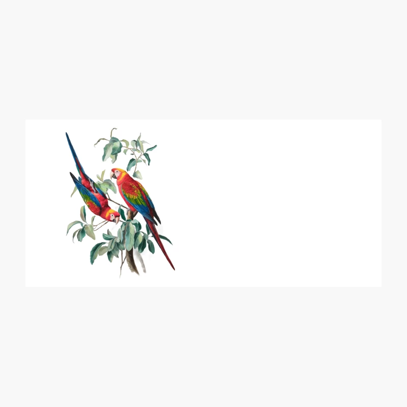 Vibrant Macaws Perched on Leafy Branch: A Tropical Wildlife Illustration Coffee Mug