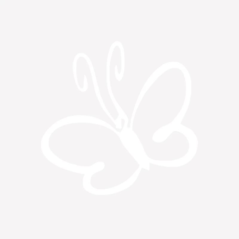 Butterfly Sticker Vinyl Female T-Shirt