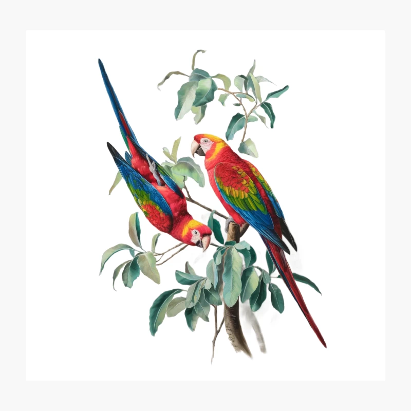 Vibrant Macaws Perched on Leafy Branch: A Tropical Wildlife Illustration Throw Pillow