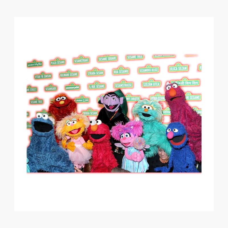 11 SESAME STREET Throw Pillow