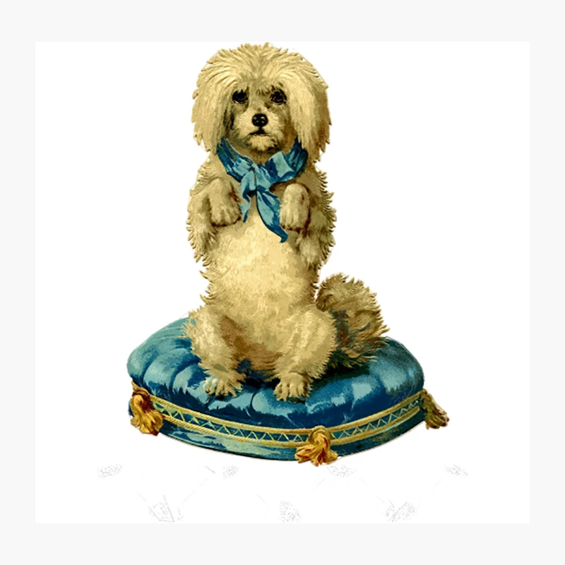 FABULOUS Throw Pillow