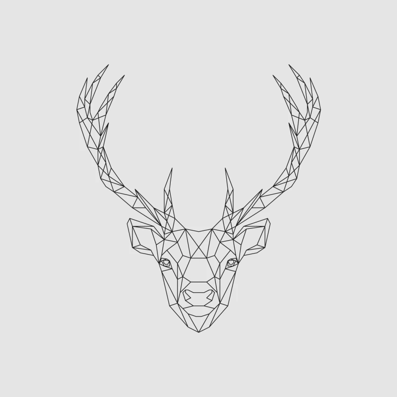 Design géométrique de tête de cerf Femme Sweat à capuche