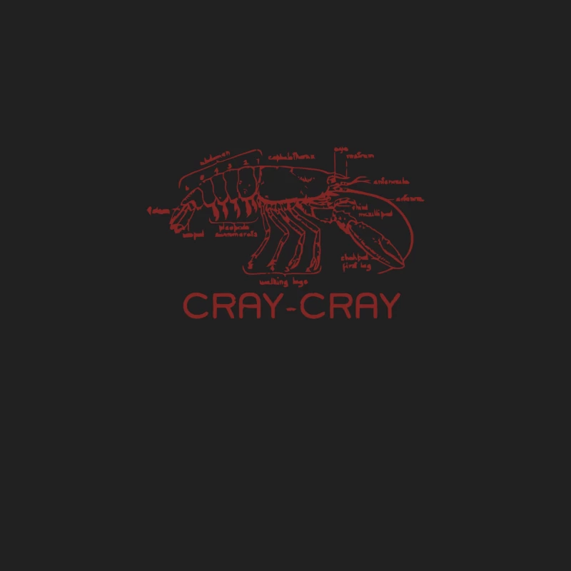 Crayfish Anatomical Diagram: Scientific Sketch of Crustacean Bucket Hat
