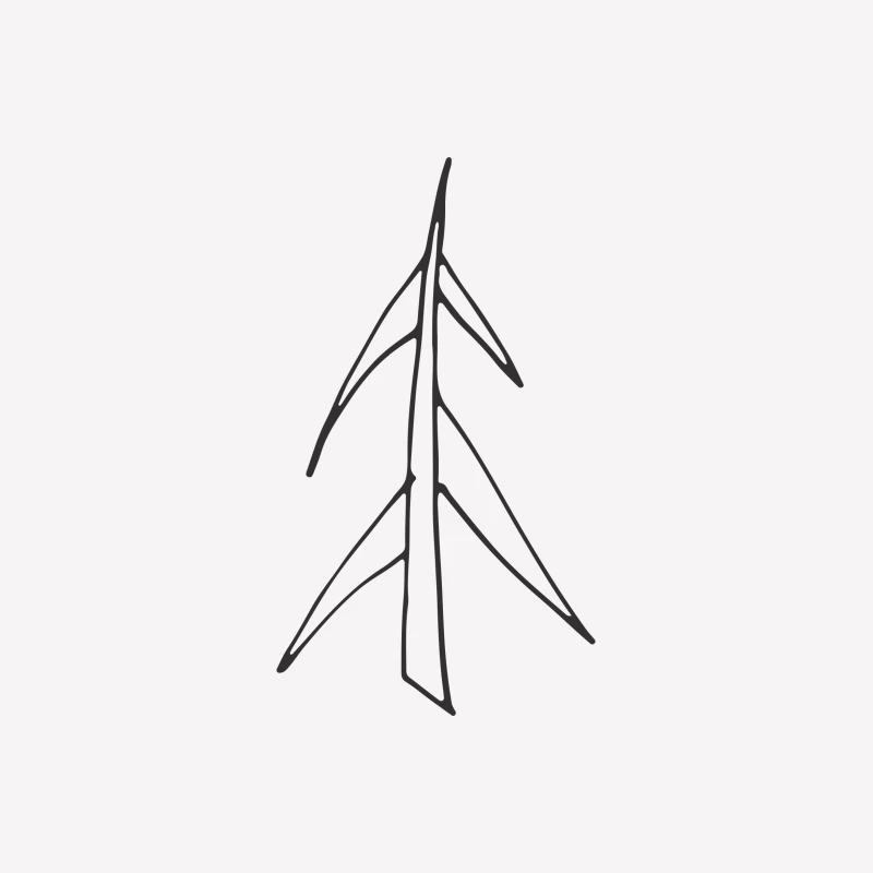 Dessin Minimaliste de Sapin Femme T-Shirt