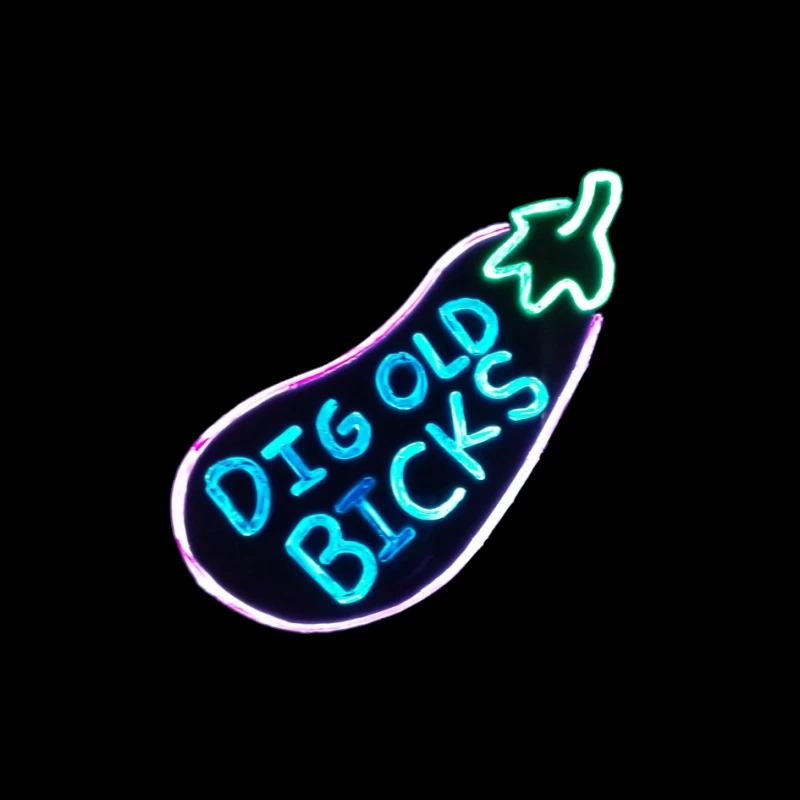 Dig Old Bicks Retro Pin