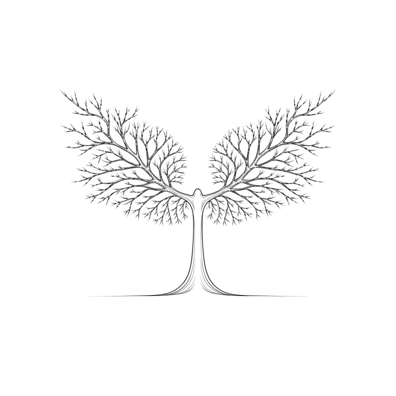 Symmetrical Tree Silhouette: Nature's Artistic Growth Tapestry