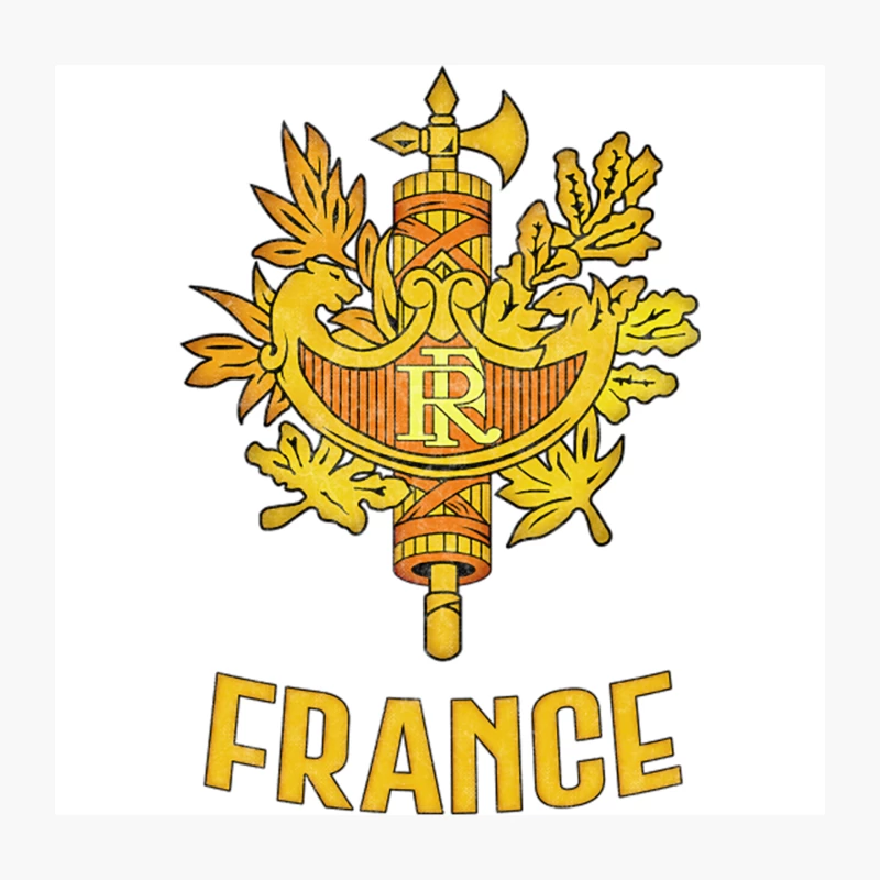 France   Faded Style Coat of Arms Emblem Design Throw Pillow