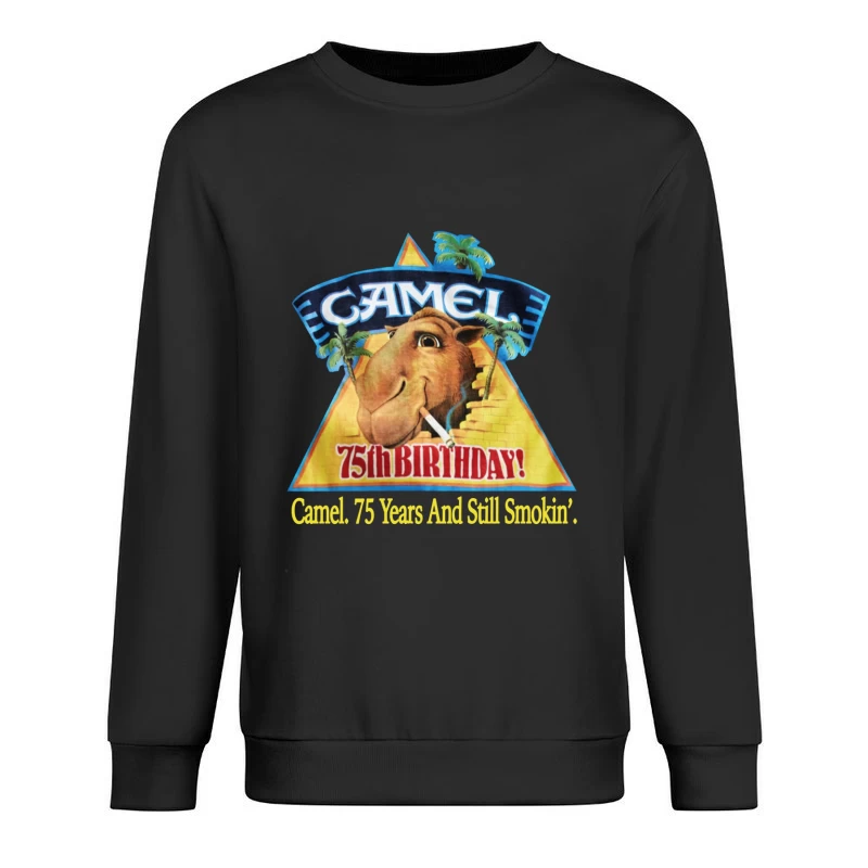  Male Pullover Sweatshirt