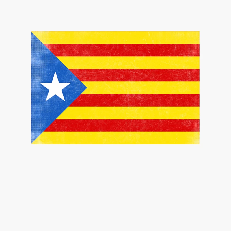 Catalonia  Països Catalans Estelada - Vintage Faded Look Design Cotton Tote Bag