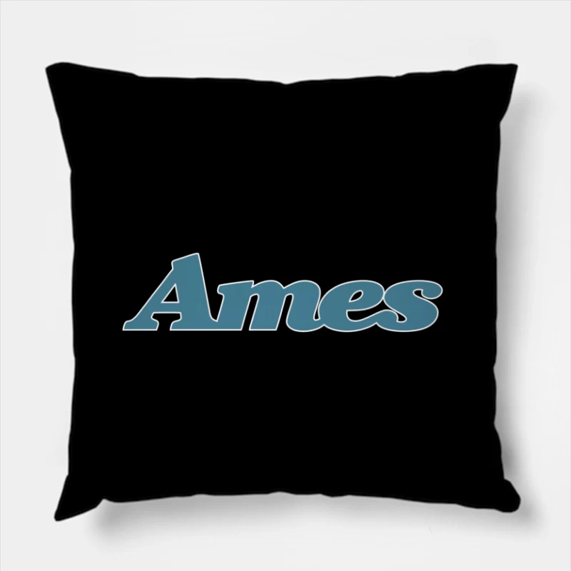  Throw Pillow