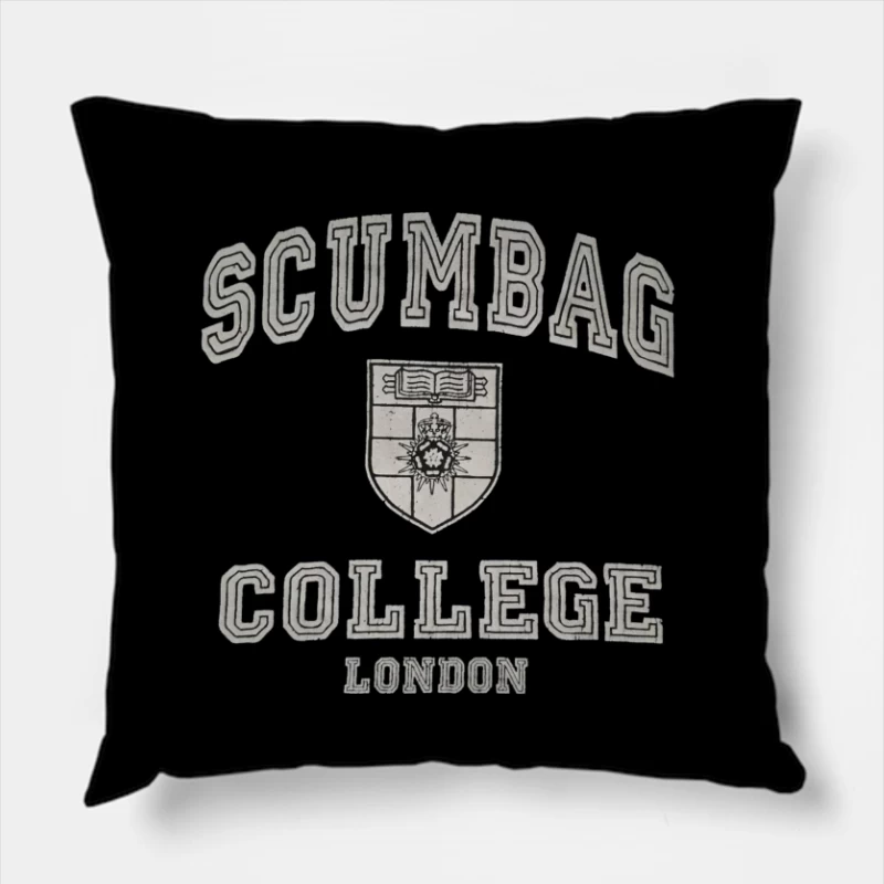  Throw Pillow