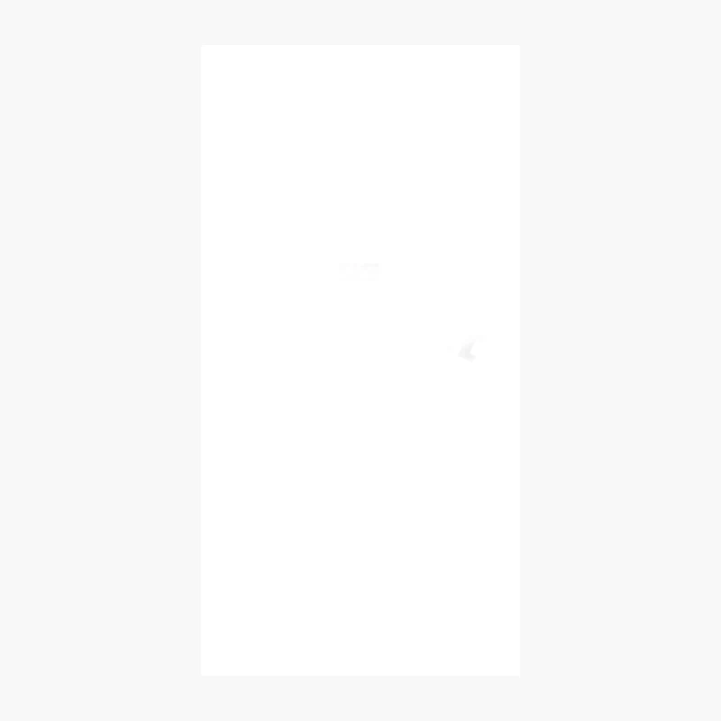 SS Normandie iPhone Case