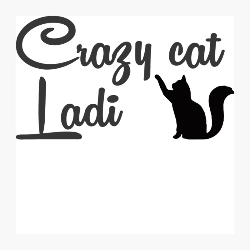 CRAZY CAT LADY Pin