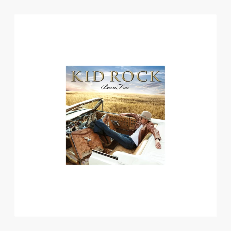 6 Kid Rock Pin
