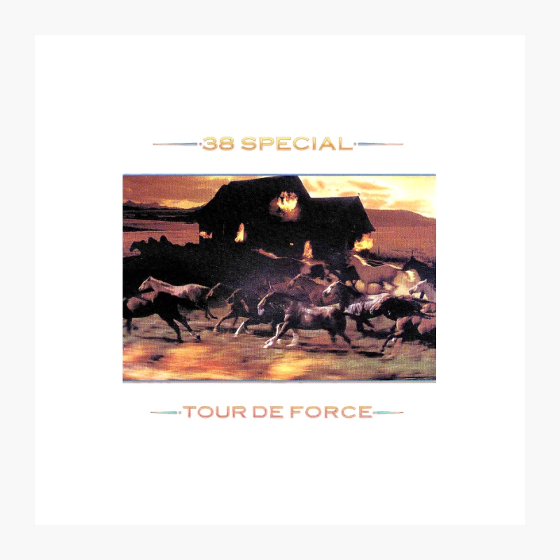 24 TOUR DE FORCE - 38 SPECIAL BAND Pin